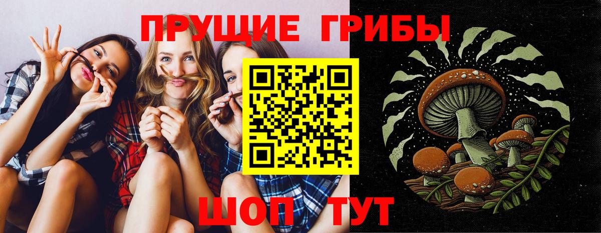 Галлюциногенные грибы ЛСД  Галлюциногенные грибы Psilocybe  Топки  Вход с VPN 