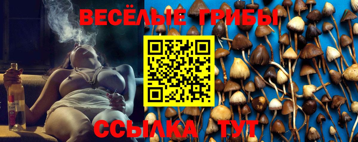 Псилоцибиновые грибы Cubensis Топки