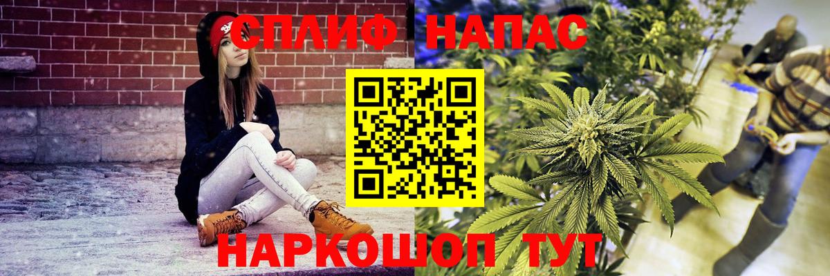 Каннабис индика  Вход с VPN  Топки  Бошки марихуана сатива  Бошки марихуана планчик  Бошки марихуана White Widow 